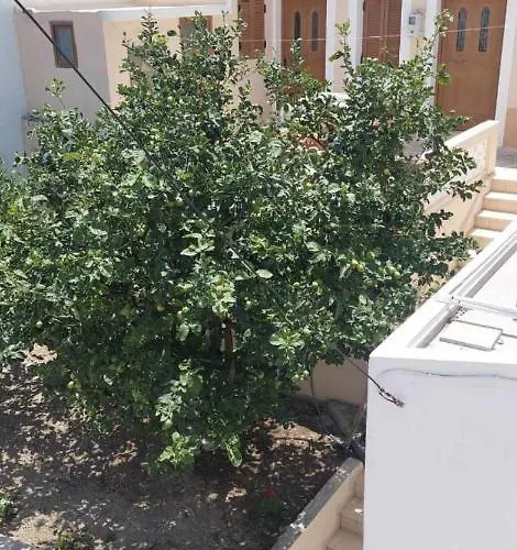 Captain John's 別荘 Diafánion